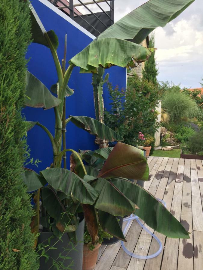 Un Havre De Paix Appartement Courcelles-Sapicourt Buitenkant foto
